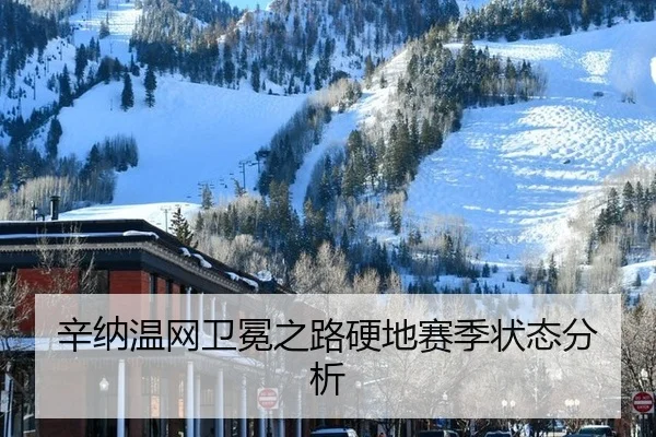 辛纳温网卫冕之路硬地赛季状态分析